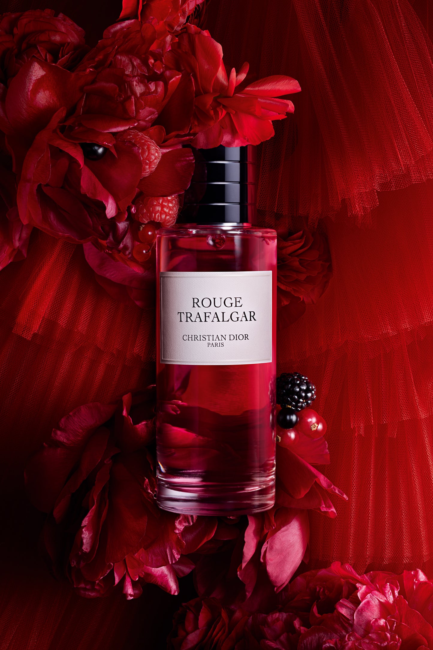 Rouge Trafalgar