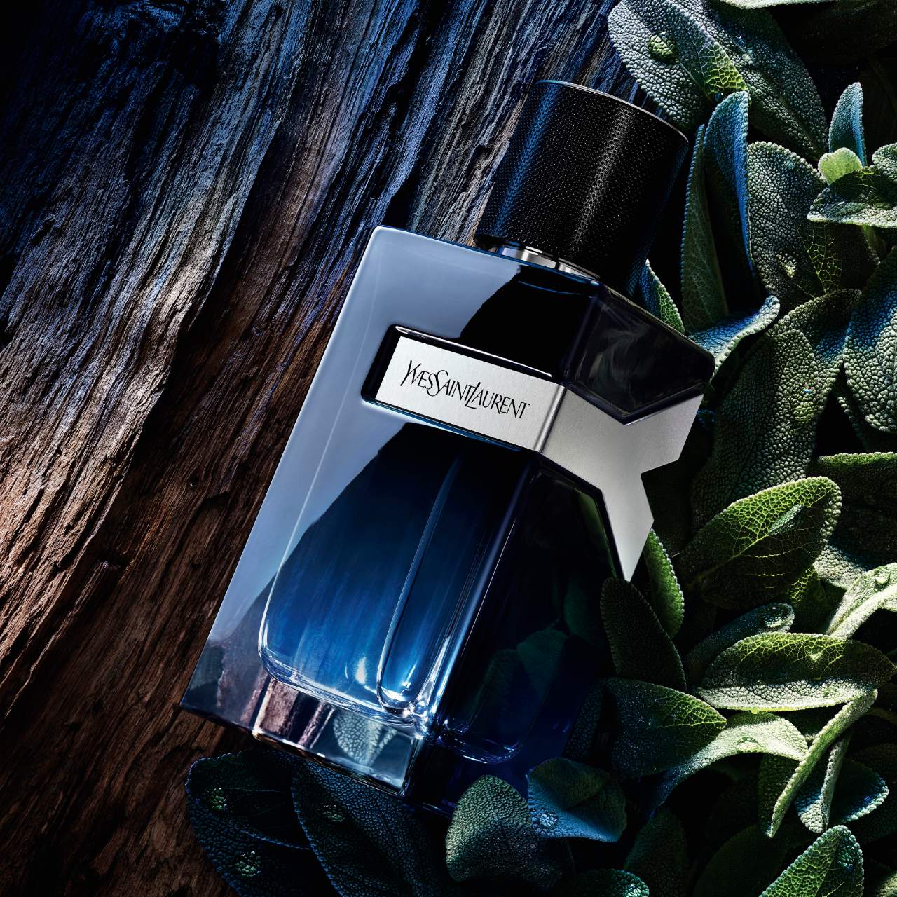 Y Eau de Parfum with Fresh Geranium & Sensual Woods
